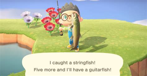 Animal Crossing Stringfish: How to catch and find the .